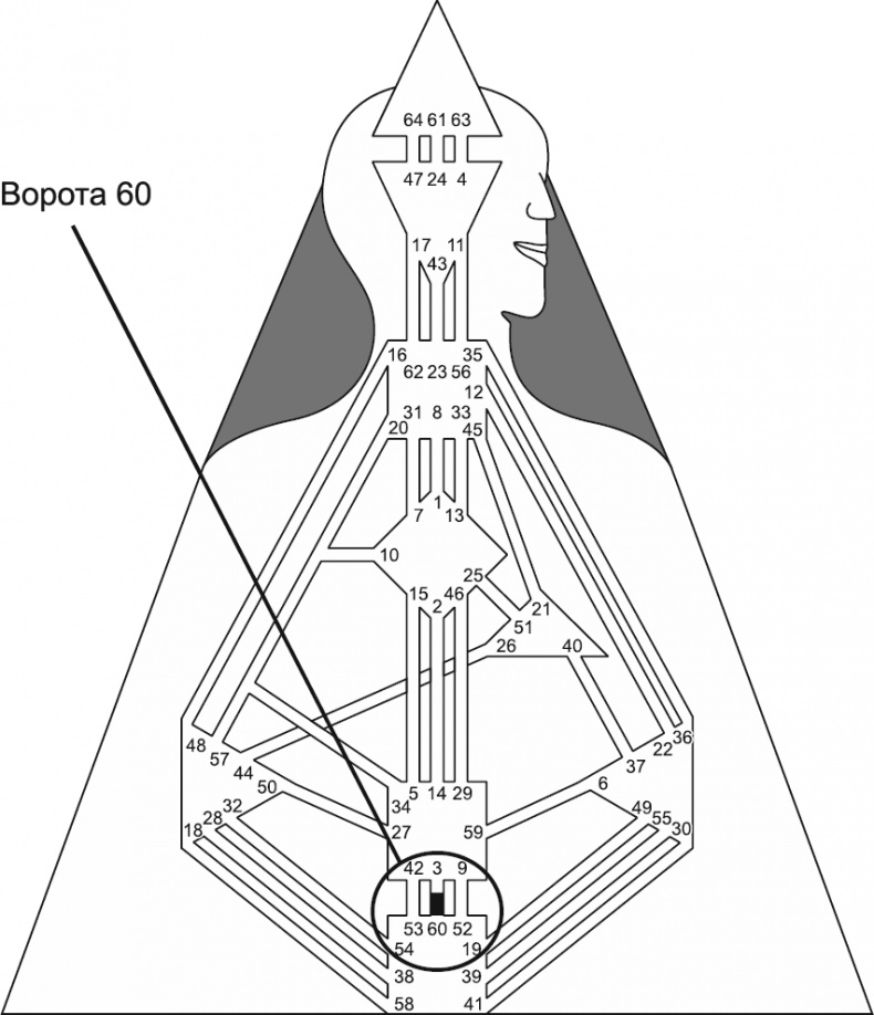 Иллюстрация к книге — Новый дизайн счастливого человека. Как понять, кто ты на самом деле [i_109.jpg]