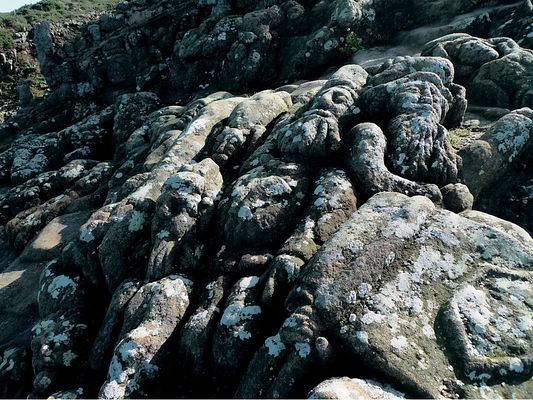 Иллюстрация к книге — Самая таинственная тайна и другие сюжеты [i_114.jpg]