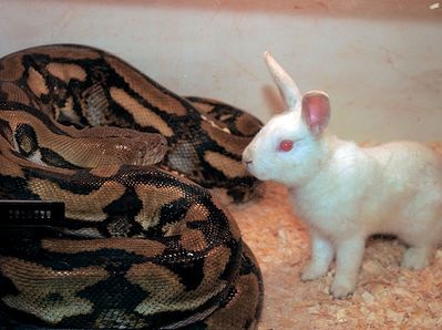 Иллюстрация к книге — Самая таинственная тайна и другие сюжеты [i_218.jpg]