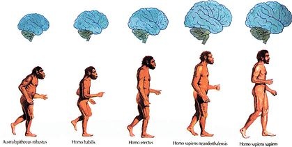 Иллюстрация к книге — Самая таинственная тайна и другие сюжеты [i_278.jpg]