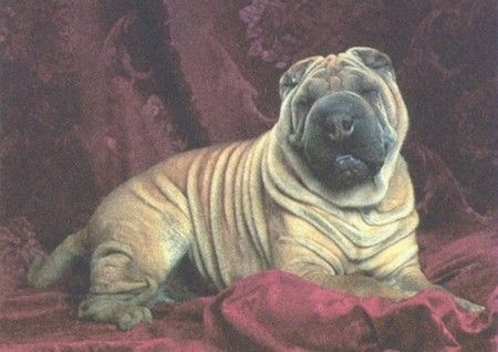 Иллюстрация к книге — Любовь к истории [i_009.jpg]