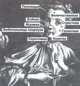 Иллюстрация к книге — Любовь к истории [i_055.jpg]