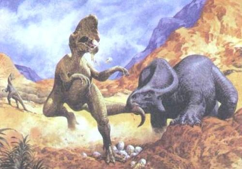 Иллюстрация к книге — Любовь к истории [i_134.jpg]