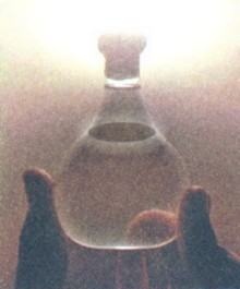 Иллюстрация к книге — Любовь к истории [i_185.jpg]