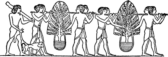 Иллюстрация к книге — Египтяне. От древней цивилизации до наших дней [i_034.jpg]