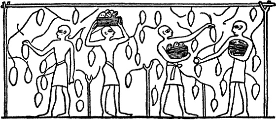 Иллюстрация к книге — Египтяне. От древней цивилизации до наших дней [i_050.jpg]