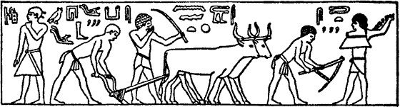 Иллюстрация к книге — Египтяне. От древней цивилизации до наших дней [i_059.jpg]