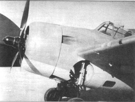 Иллюстрация к книге — Grumman Wildcat [pic_176.jpg]