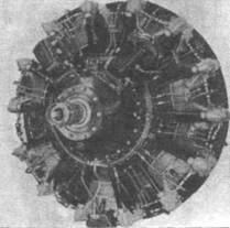 Иллюстрация к книге — Grumman Wildcat [pic_204.jpg]