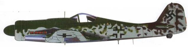 Иллюстрация к книге — Focke Wulf Fw 190D Ta 15 [pic_133.jpg]