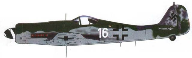 Иллюстрация к книге — Focke Wulf Fw 190D Ta 15 [pic_134.jpg]