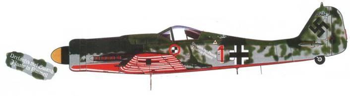 Иллюстрация к книге — Focke Wulf Fw 190D Ta 15 [pic_140.jpg]