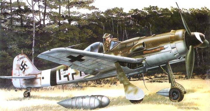 Иллюстрация к книге — Focke Wulf Fw 190D Ta 15 [pic_144.jpg]