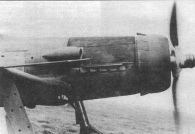 Иллюстрация к книге — Focke Wulf Fw 190D Ta 15 [pic_28.jpg]