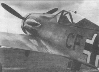 Иллюстрация к книге — Focke Wulf Fw 190D Ta 15 [pic_7.jpg]