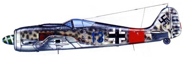Иллюстрация к книге — Focke Wulf FW190 A/F/G. Часть 2 [pic_202.jpg]