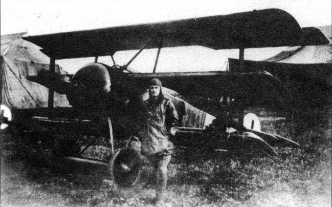 Иллюстрация к книге — Боевое применение трипланов Fokker Dr I в Первой Мировой войне [pic_1.jpg]