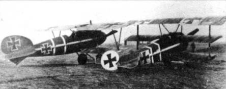 Иллюстрация к книге — Боевое применение трипланов Fokker Dr I в Первой Мировой войне [pic_98.jpg]