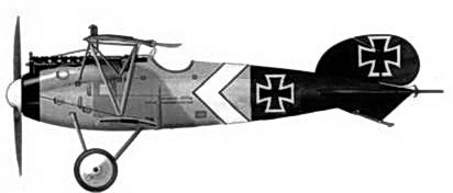 Иллюстрация к книге — Боевое применение германских истребителей Albatros в Первой мировой войне [fb2tobdim_134.jpg]