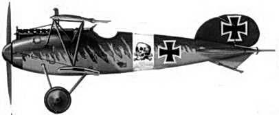 Иллюстрация к книге — Боевое применение германских истребителей Albatros в Первой мировой войне [fb2tobdim_136.jpg]