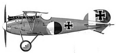 Иллюстрация к книге — Боевое применение германских истребителей Albatros в Первой мировой войне [fb2tobdim_144.jpg]