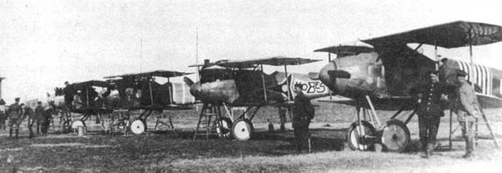 Иллюстрация к книге — Боевое применение германских истребителей Albatros в Первой мировой войне [pic_31.jpg]