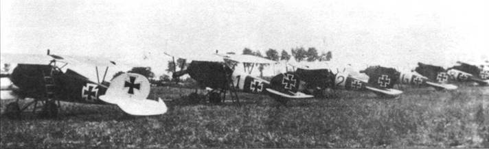 Иллюстрация к книге — Боевое применение германских истребителей Albatros в Первой мировой войне [pic_76.jpg]
