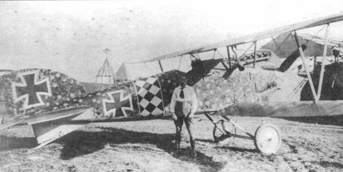 Иллюстрация к книге — Боевое применение германских истребителей Albatros в Первой мировой войне [pic_83.jpg]