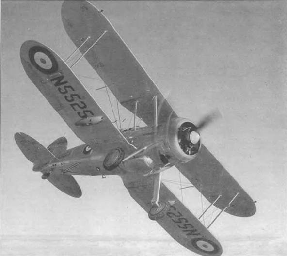 Иллюстрация к книге — Gloster Gladiator [pic_93.jpg]