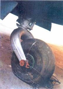 Иллюстрация к книге — Ту-2 Часть 2 [pic_44.jpg]