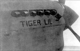 Иллюстрация к книге — Curtiss P-40. Часть 4 [pic_6.jpg]