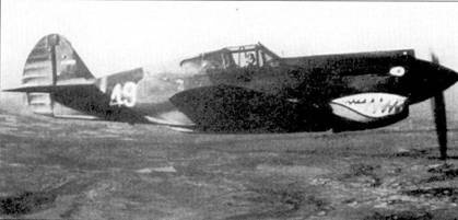 Иллюстрация к книге — Curtiss P-40. Часть 4 [pic_87.jpg]