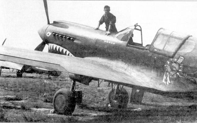 Иллюстрация к книге — Curtiss P-40. Часть 4 [pic_90.jpg]