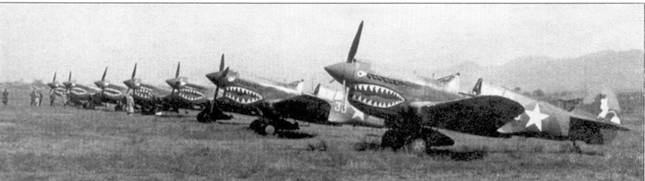 Иллюстрация к книге — Curtiss P-40. Часть 4 [pic_93.jpg]