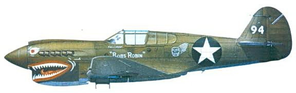 Иллюстрация к книге — Curtiss P-40. Часть 3 [pic_116.jpg]