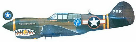 Иллюстрация к книге — Curtiss P-40. Часть 3 [pic_118.jpg]