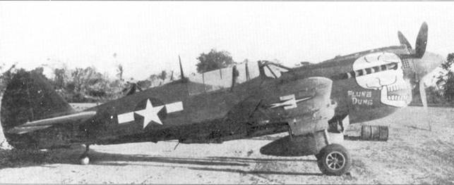 Иллюстрация к книге — Curtiss P-40. Часть 3 [pic_25.jpg]