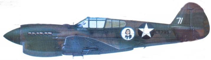 Иллюстрация к книге — Curtiss P-40. Часть 2 [pic_153.jpg]