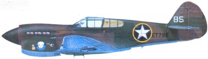 Иллюстрация к книге — Curtiss P-40. Часть 2 [pic_157.jpg]