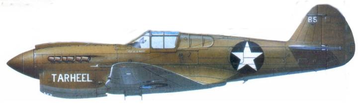 Иллюстрация к книге — Curtiss P-40. Часть 2 [pic_158.jpg]