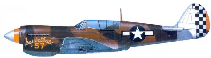 Иллюстрация к книге — Curtiss P-40. Часть 1 [pic_108.jpg]