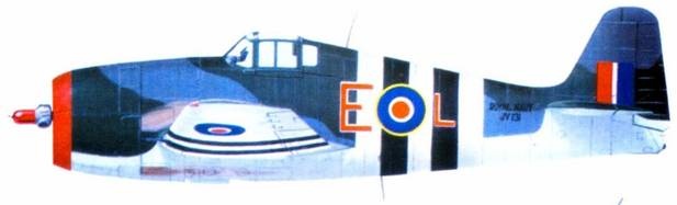 Иллюстрация к книге — F6F Hellcat Часть 1 [pic_148.jpg]