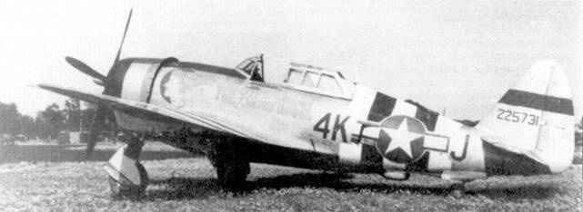 Иллюстрация к книге — Р-47 «Thunderbolt» Тяжелый истребитель США [pic_131.jpg]