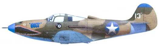 Иллюстрация к книге — Боевое применение Р-39 Airacobra [pic_110.jpg]