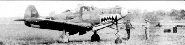 Иллюстрация к книге — Боевое применение Р-39 Airacobra [pic_33.jpg]