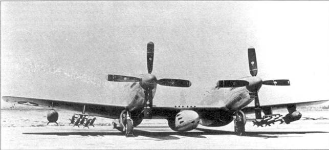 Иллюстрация к книге — Р-51 «Mustang» Часть 2 [pic_101.jpg]