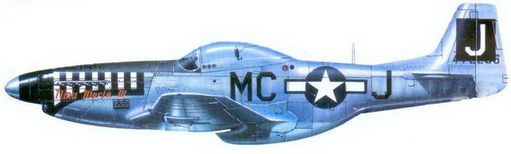 Иллюстрация к книге — Р-51 «Mustang» Часть 2 [pic_137.jpg]
