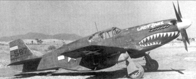 Иллюстрация к книге — Р-51 «Mustang» Часть 2 [pic_48.jpg]