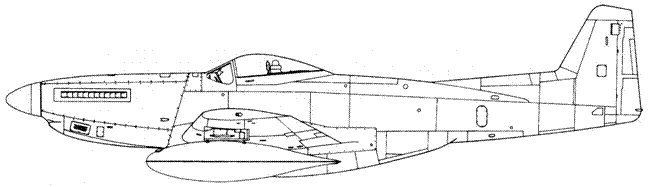 Иллюстрация к книге — Р-51 «Mustang» Часть 2 [pic_90.jpg]