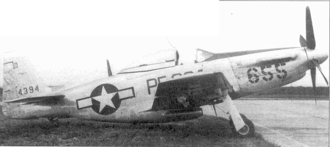 Иллюстрация к книге — Р-51 «Mustang» Часть 1 [pic_128.jpg]